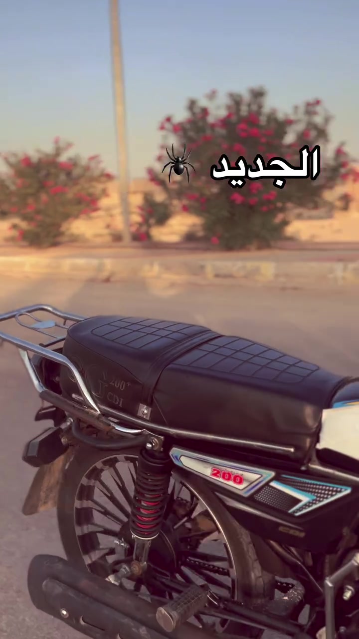 سونك • ٢٠٢٥ • ٢٠٠