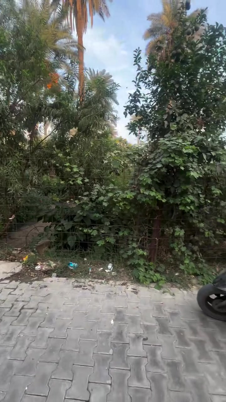 بيت سعود • قطعة أرض • موضحة بالفيديو