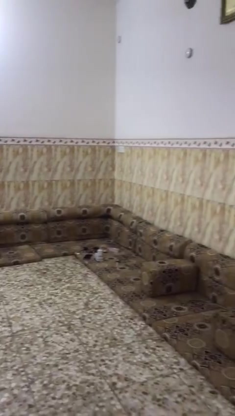 جلسة ٢ • نضيفه • كربلاء