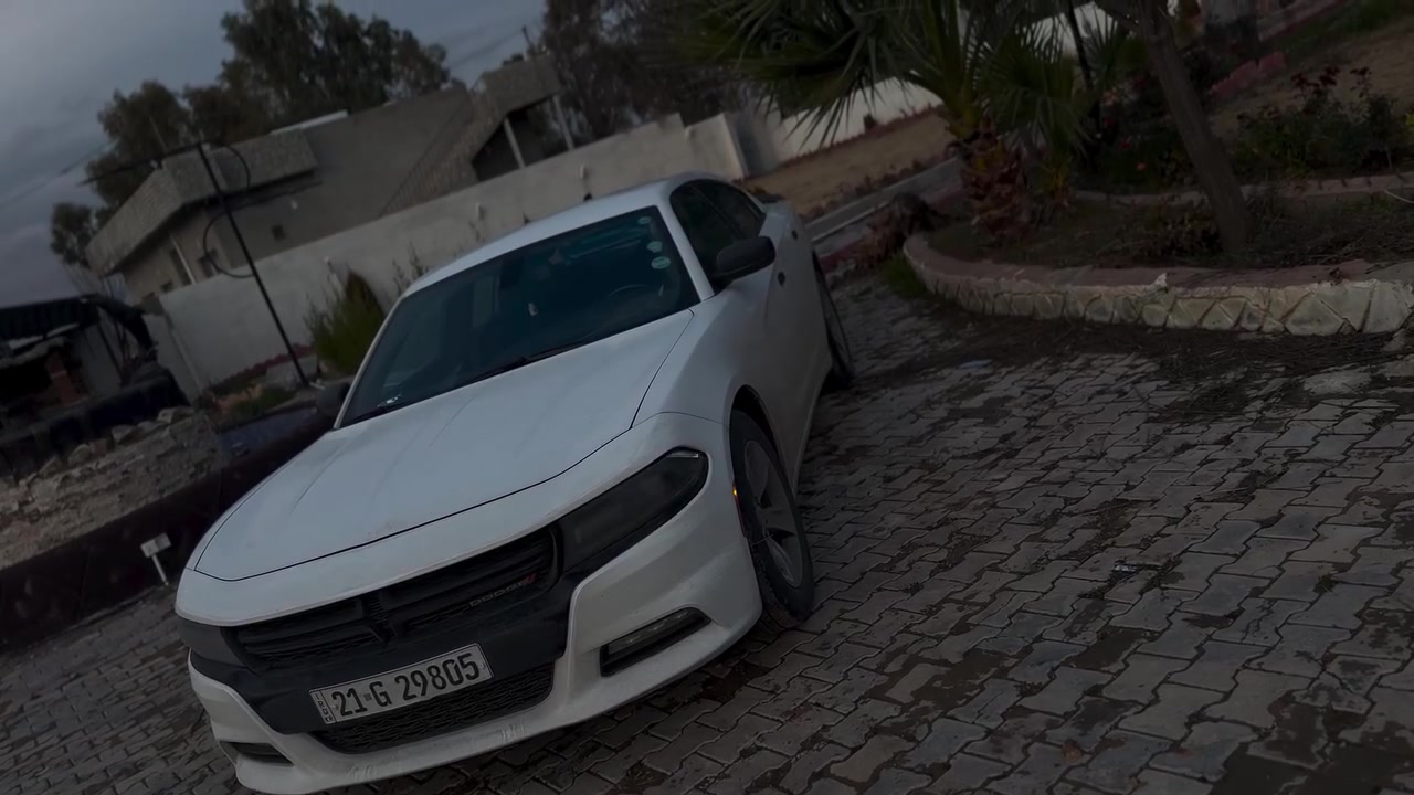 جارجر SXT • ٢٠١٧ • به شويه برد