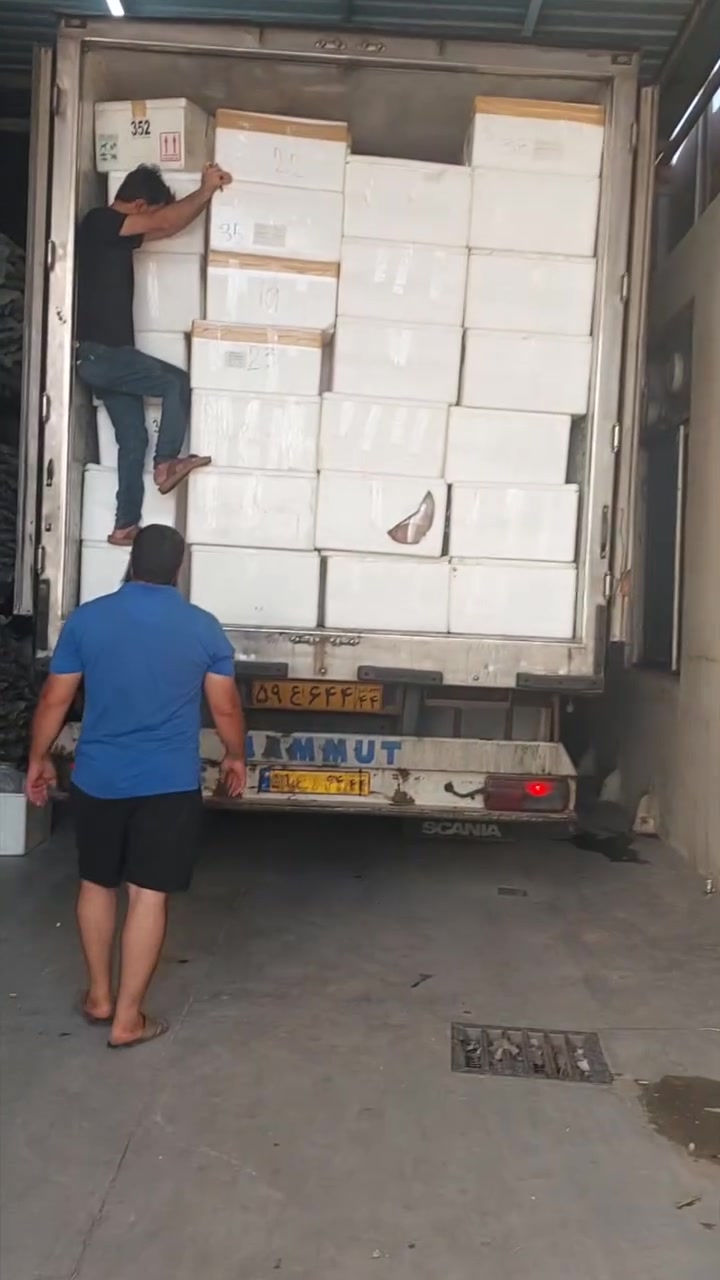 اترس حوضك بس ب 5 الف
حجز واتساب ***********
موصل حي الميثاق ييييييم فرع مدرسة مكه. مجمع الاخوين مقابل جزارة وجيه
