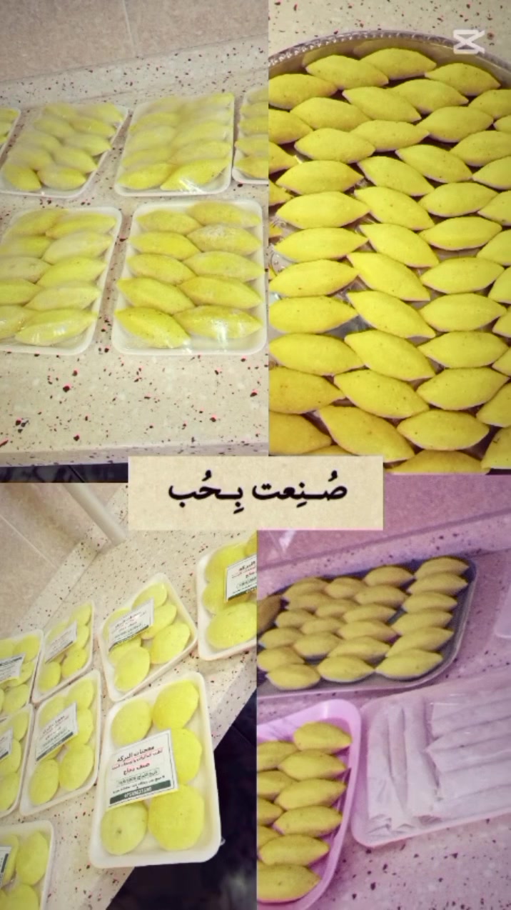 كبة حلب • يوم بيومه • توصيل الطارمية