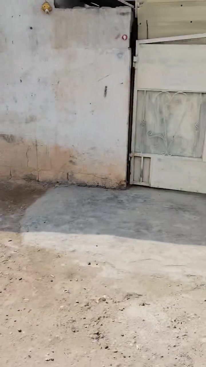 الزعفرانيه • شارع الكهرباء • ١٢٠م