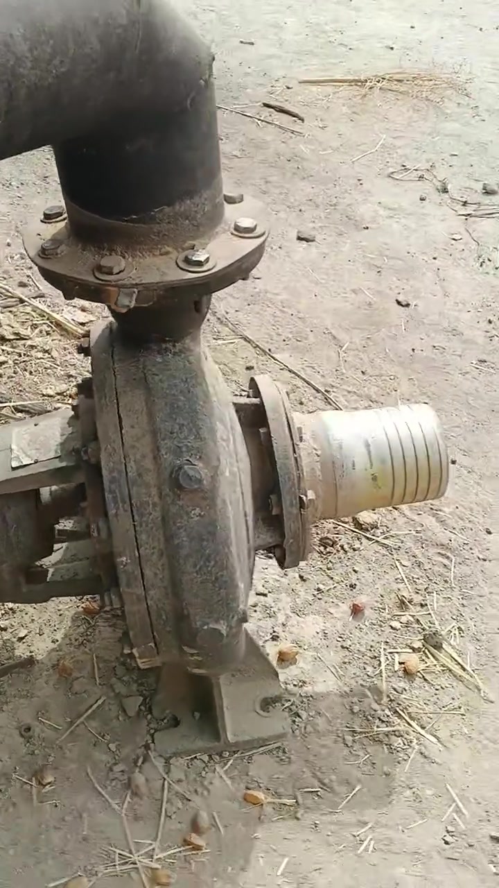 دويز • شغالة • بابل الطليعه