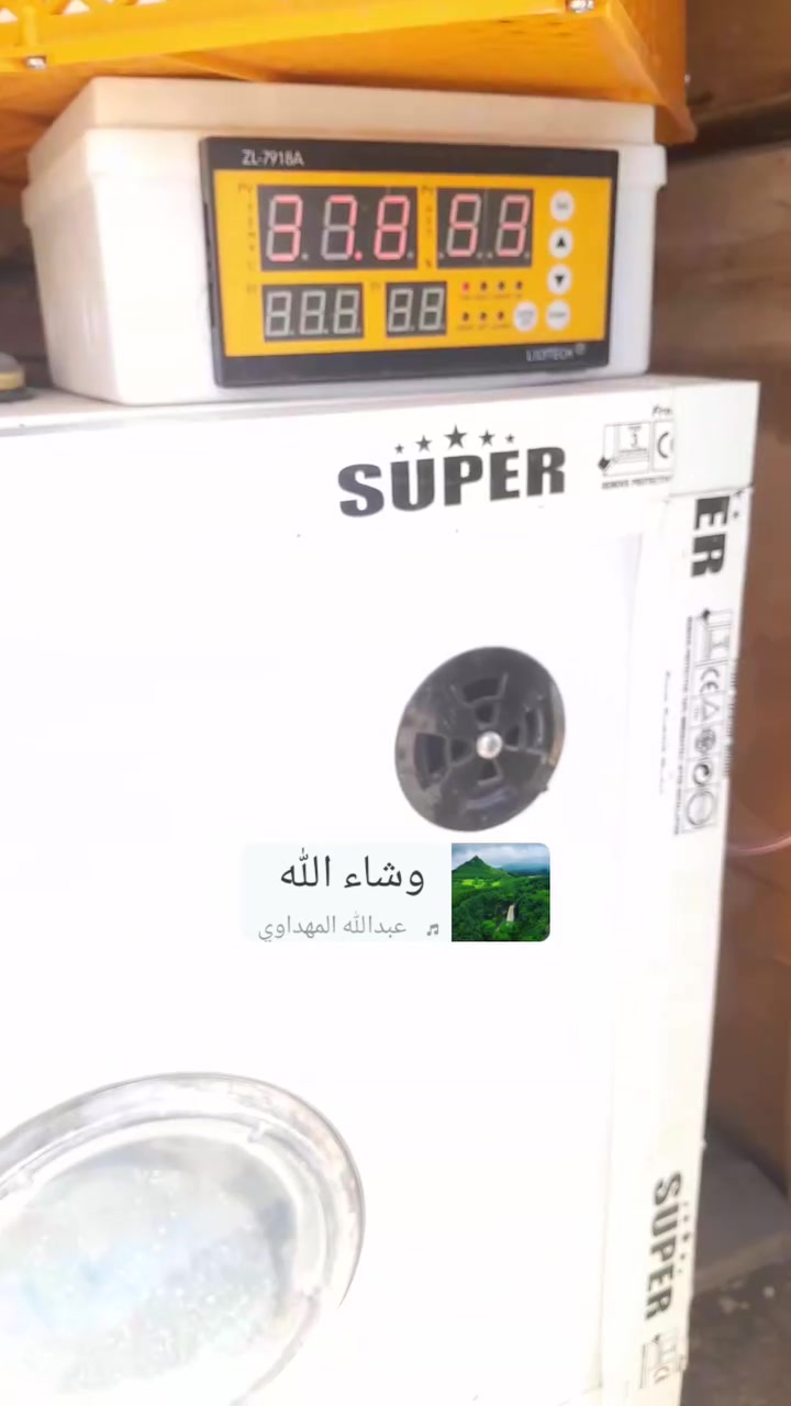 فقاسة فول اوتوماتيك • ٢١٦ بيضة • منشأة نصر