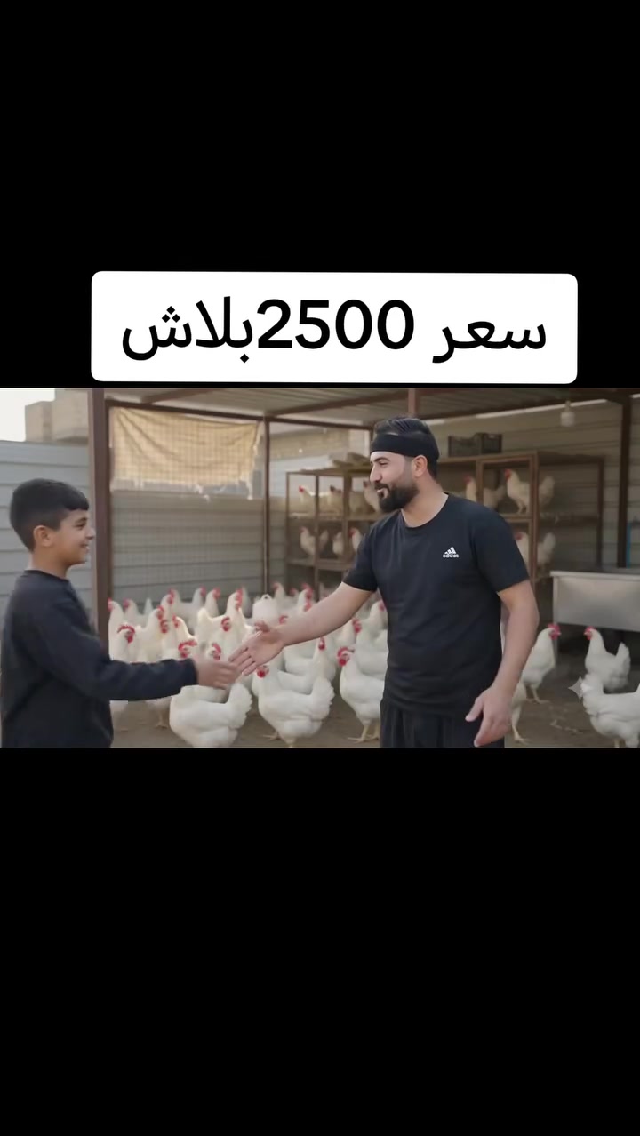 سعر كيلو2500
تنضيف مجاني ***********

***********
