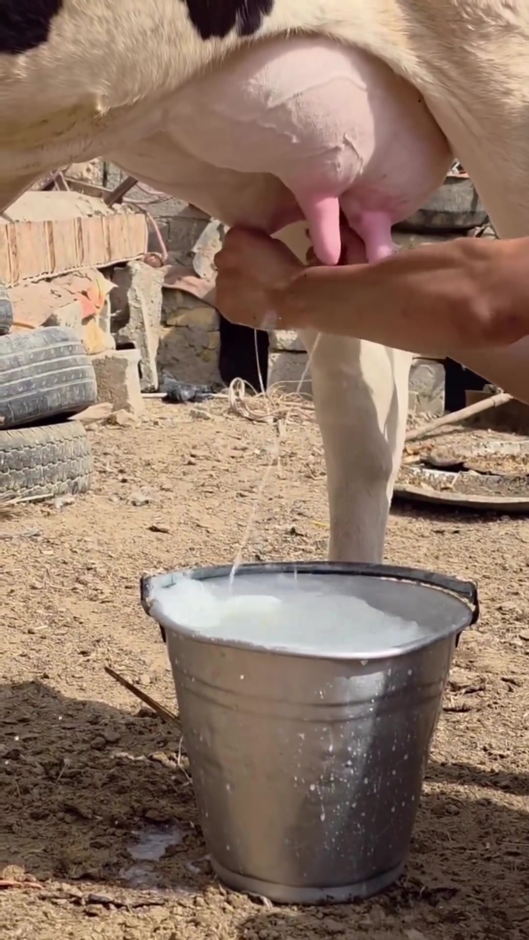 كربلاء • علق • يجيك السعر