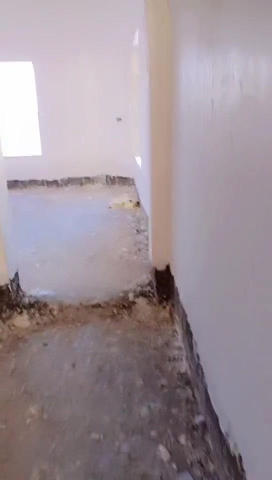 لباخ متفرغ حاليا تغليف واجهات بياض كلشي نشتغل التزام بلعمل اشتغل جميع المحافضات اذا متوفر مبيت ***********بي وتساب
