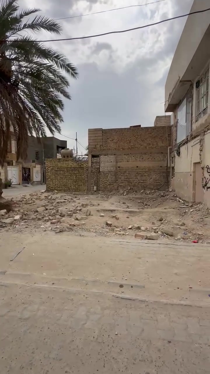 الجزيرة • ١٠٠م • ركن