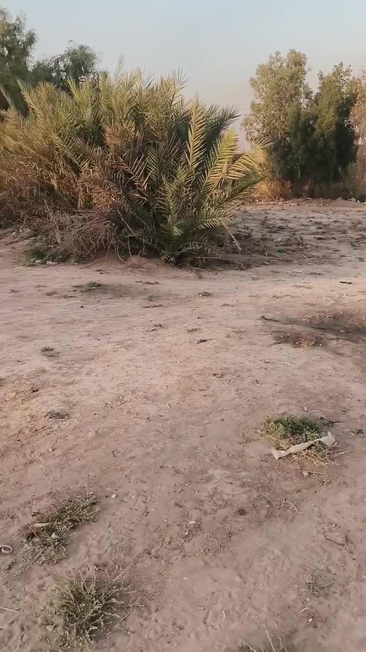 سلام عليكم
ألف متر لبيع حي لبتول زراعي سند 25 
رقم الهاتف ‏‪7713512955‬‏
***********

