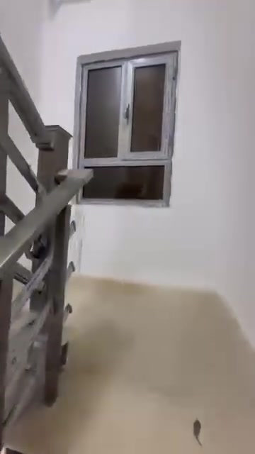 شقق الايجار   
المكان النواب ضباط مقابيل. اربع شوارع 
تصلح   الي طلاب. سكن 
والي الاطباء. عيادات
تصلح صالون نسائي  
ا واتساب   ***********
