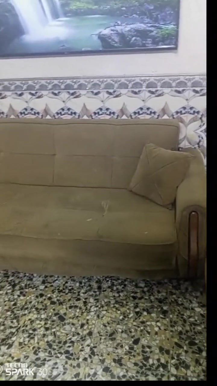تخم اي ضرر مابي 150الف مستعجله ع بيعته تخم تركي مخزن سرير تواصل ع هذا الرقم او خاص ***********
