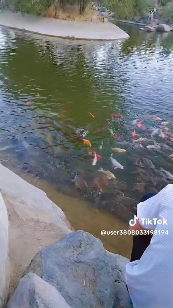 من رخصة الادمن استشهاد السيده معصومة عليها السلام 
برنامج ايران شامل فنادق نقل رجال أعمال ٢٥نفر نقل
 داخلي كافة المزارات قم زيارة السيدة معصومة عليها السلام 
والسيده سكينه خاتون اخت الرضا عليهما السلام 
جامع جمكران 
كافة المزارات في قم

 مشهد زيارة انيس النفوس وشمس الشموس ع 
خواجه مراد
 ابا صلت الهروي صاحب الامام الرضا ع 
السيدين ناصر وياسر أبناء الكاظم عليه السلام 

مناطق سياحه باغ مشهد بحيرة الأسماك قطارات 
سيارات تل فرك وغيرها
مشهد مناطق سياحه أيضا جميله جدا جدا 
 وجبة طعام أطباء مولات جولات مجانيه واختياري 
بابل القاسم ع نستقبل الحجز من كل المحافظات الكريمه الاستفسار الخاص مفتوح السكن ثنائي نظام فرق الغرف 
سنكل منفرد ثلاثي ورباعي خماسي حسب طلب الزبون الاطفال مجاني اقل من سنتين لاتصال *********** السعر نفر ٢٢٥الف عراقي وفاة السيده الجليله فاطمه المعصومه عليها السلام اخر عشر مقاعد السيارة موضحه بالصوره
