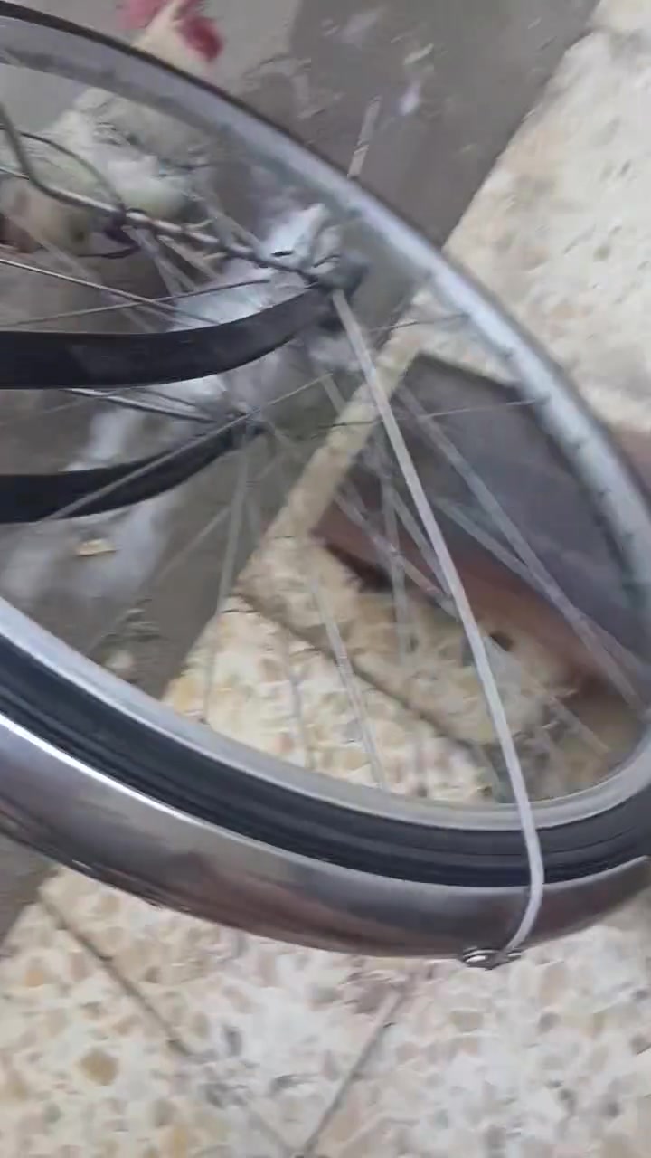 السلام عليكم 
بايسكل بناتي نضيف ويخبل البيسكل ياباني أمن امه نضيف كلش تايرات جدد كير وحساس وقفل خلفي كله شغال وكالة البيسكل جاهز ما عوزه شي عدا الصينيه يحتاج صينيه فقط بايسكل نضيف وجديد ومختم السعر 100 وبي مجال للطيبين وحك الجيه عنواني بغداد البياع الشرطة الخامسة للاستفسار راسلني خاص وهاذ الرقم هم *********** .
