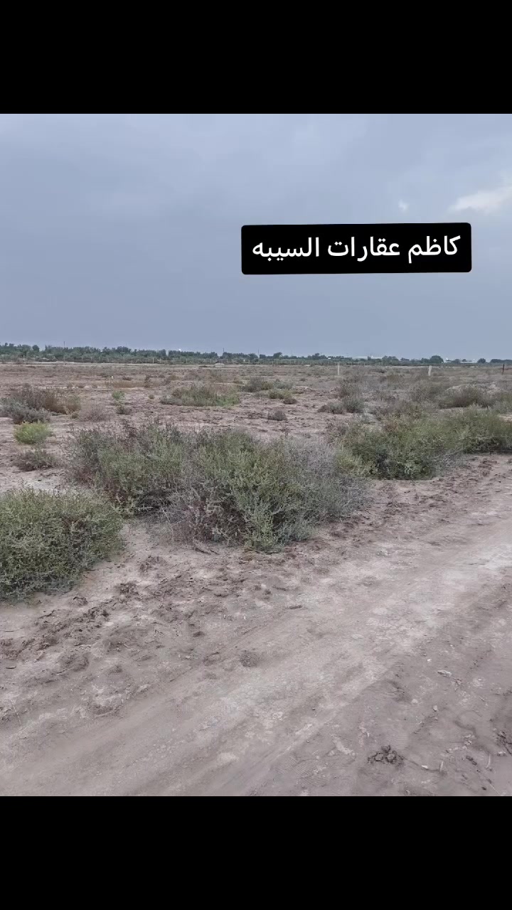 السيبه • طابو زراعي • ٥٠٠م