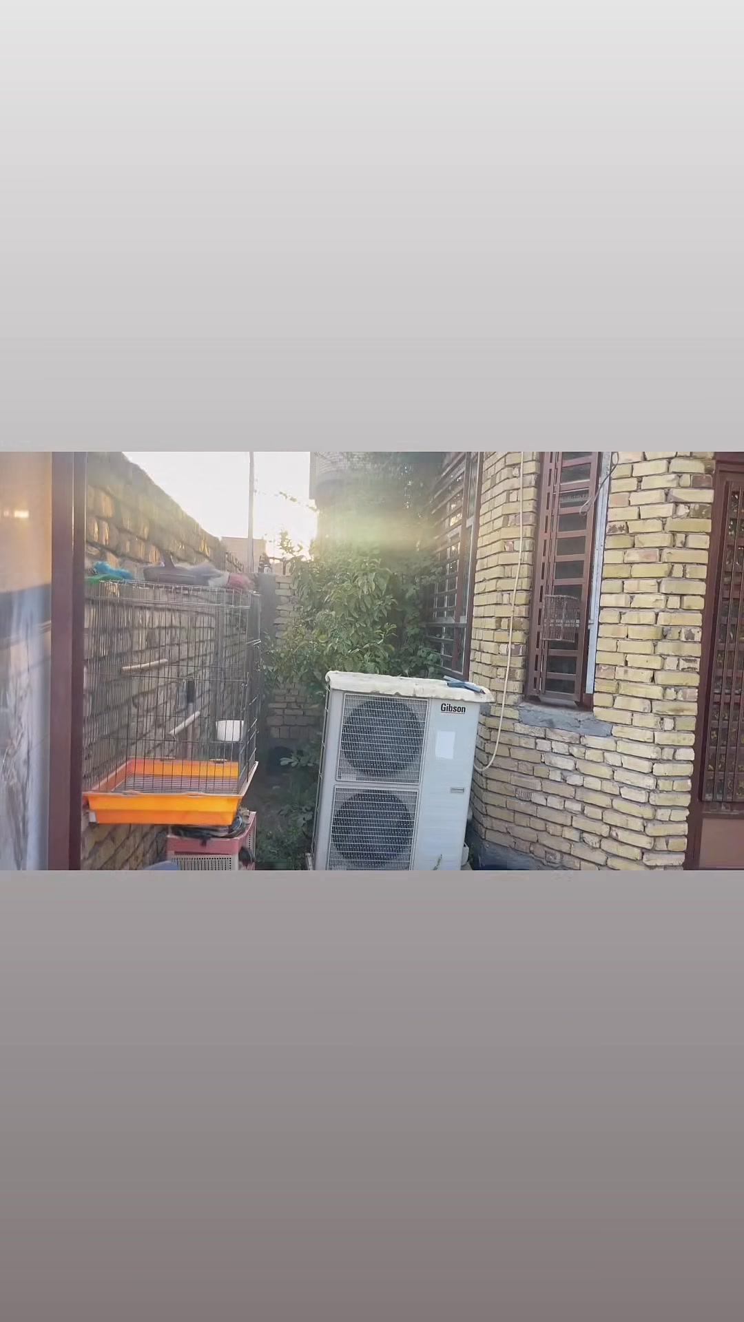 طويربج الكص • طابو زراعي • ٢٠٠م