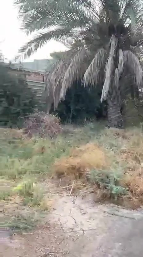 العبايجي • ١١٠٠م • ٣١×٣٤م