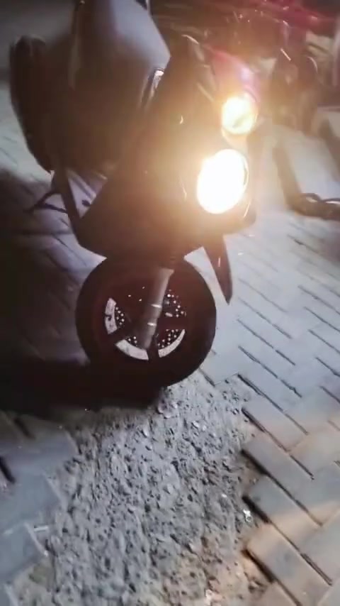 سكنس جبلي • مكفولة • اوراق كامله