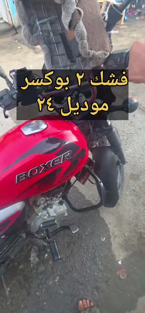 بوكسر • تجفيت • موديل ٢٤