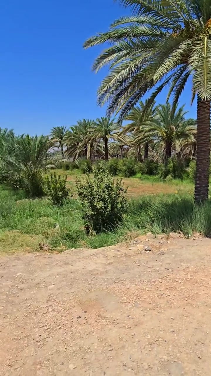 دونم ونص للبيع 
ملك صرف زراعي سند ٢٥
حله / قرب شارع ١٠٠
***********
***********
