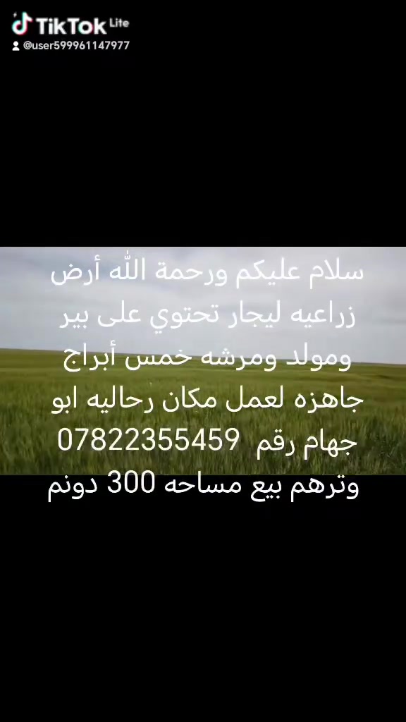 أرض • ٣٠٠م