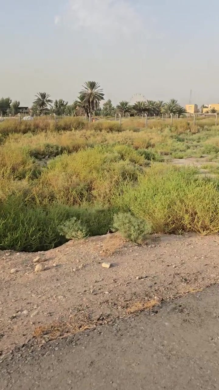 ثطعه للبيه ٢٥٠ متر طابو زراعي سند ٢٥ ***********
