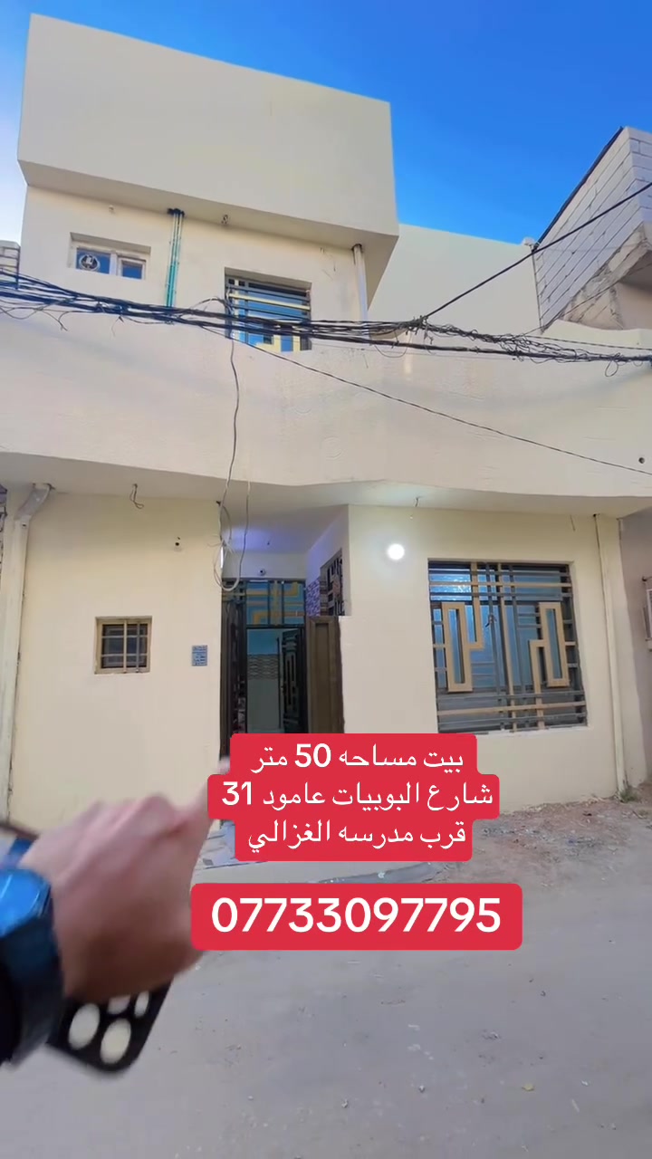البوبيات عامود ٣١ • ٥٠م • طابو سند