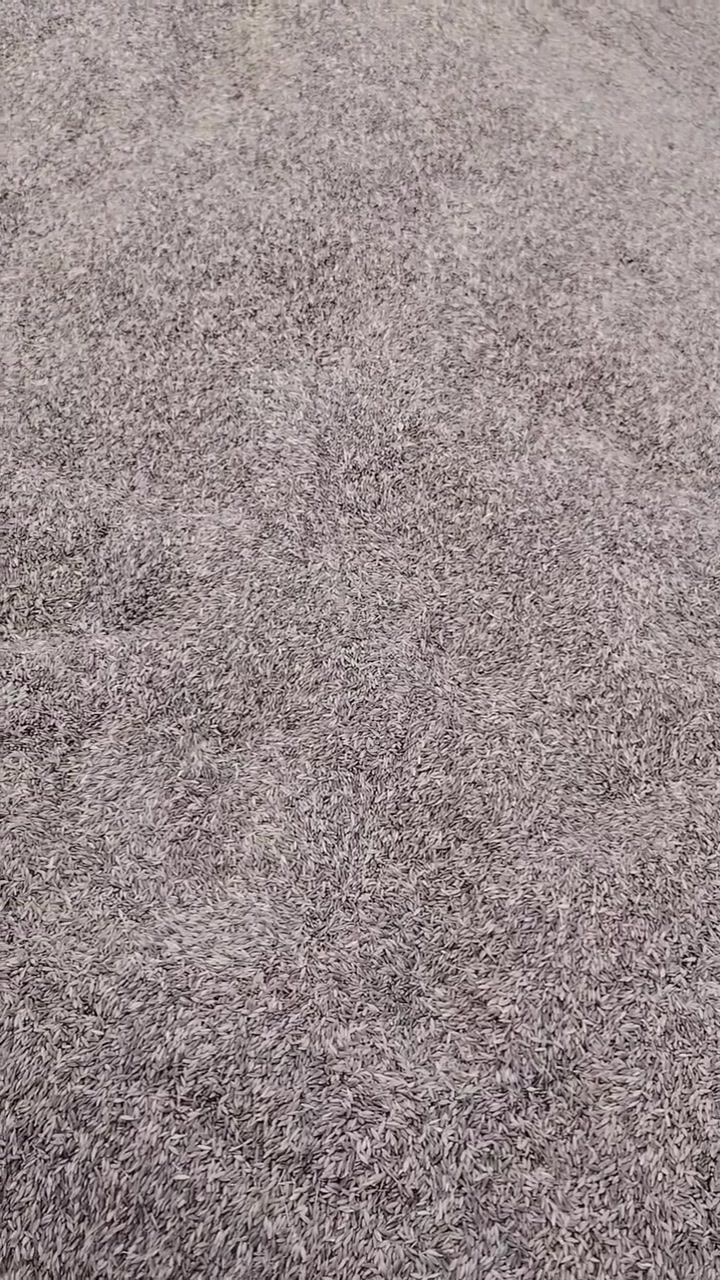 شعير • ٨ طن • تكريت