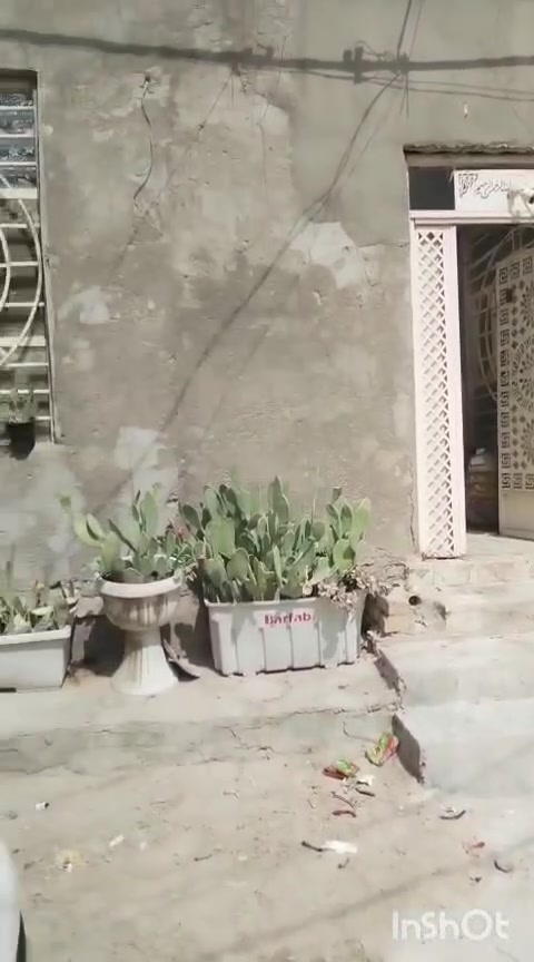 نجف شارع المطار • ١٥٠م • غرفتين