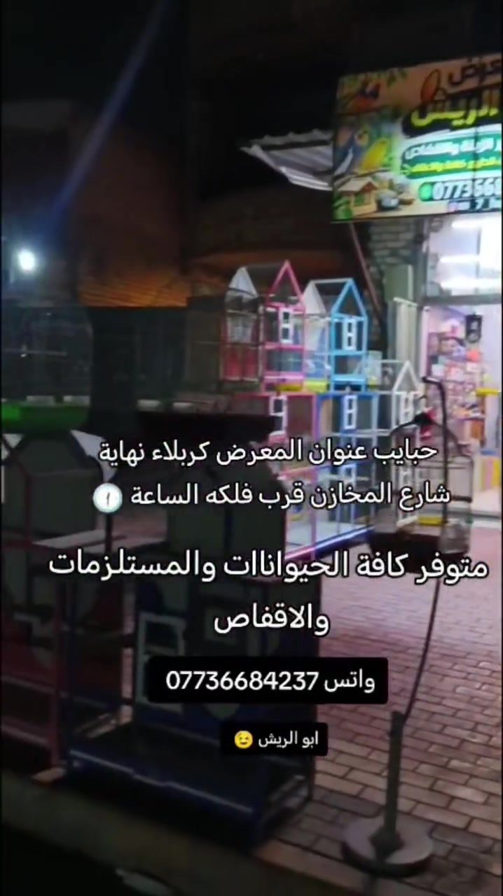 بيع وشراء • حيوانات • قرب فلكه الساعة