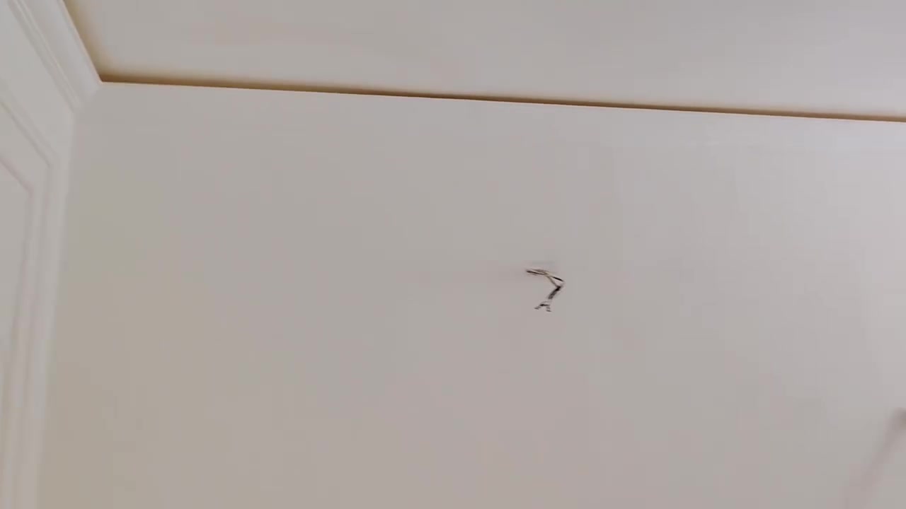 سلام عليكم أحد أعمالنا في منطقه السيديه سحبه اناره مخفيه
مع صبغ بنت و بلاستيكي 
***********

