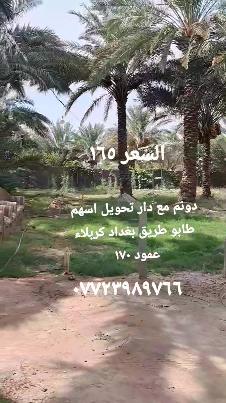 ابو عصيد • ٢٥٠٠م • سند ٢٥