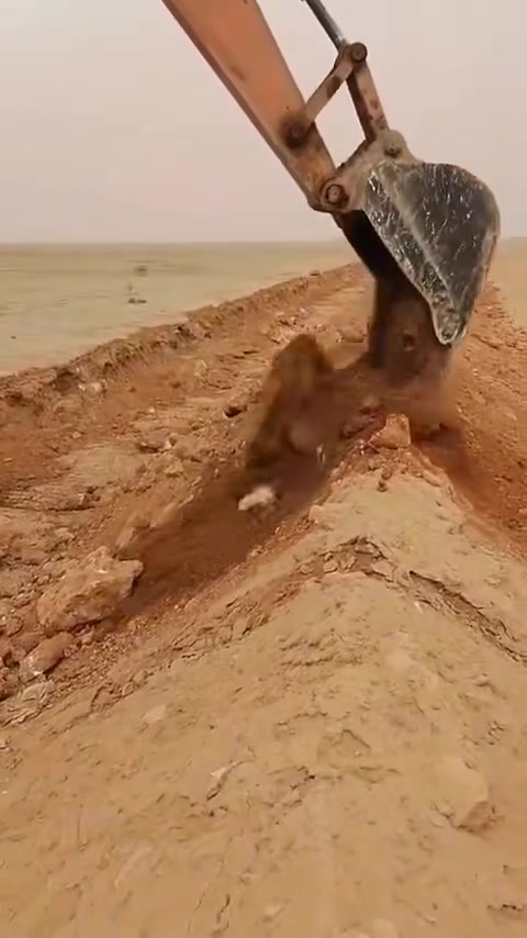 حفاره • هيتاشي • النجف الاشرف