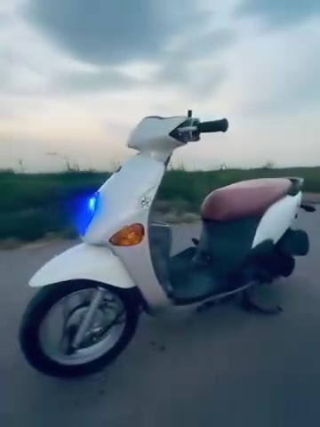 فله • ٢٠١١ • مكفوله