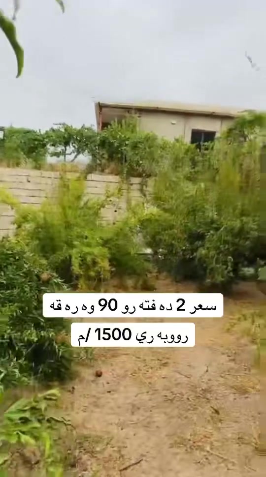 أرض • ١٥٠٠م