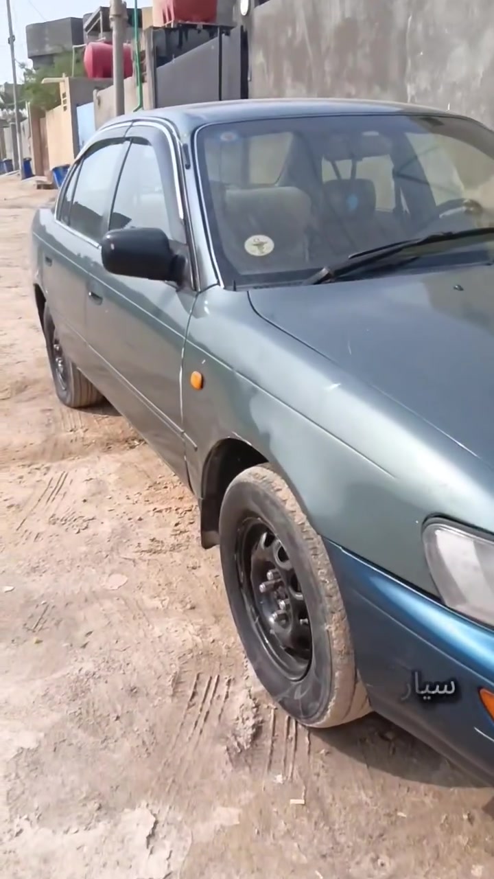 كورله • ١٩٩٤ • بصرة ابو الخصيب