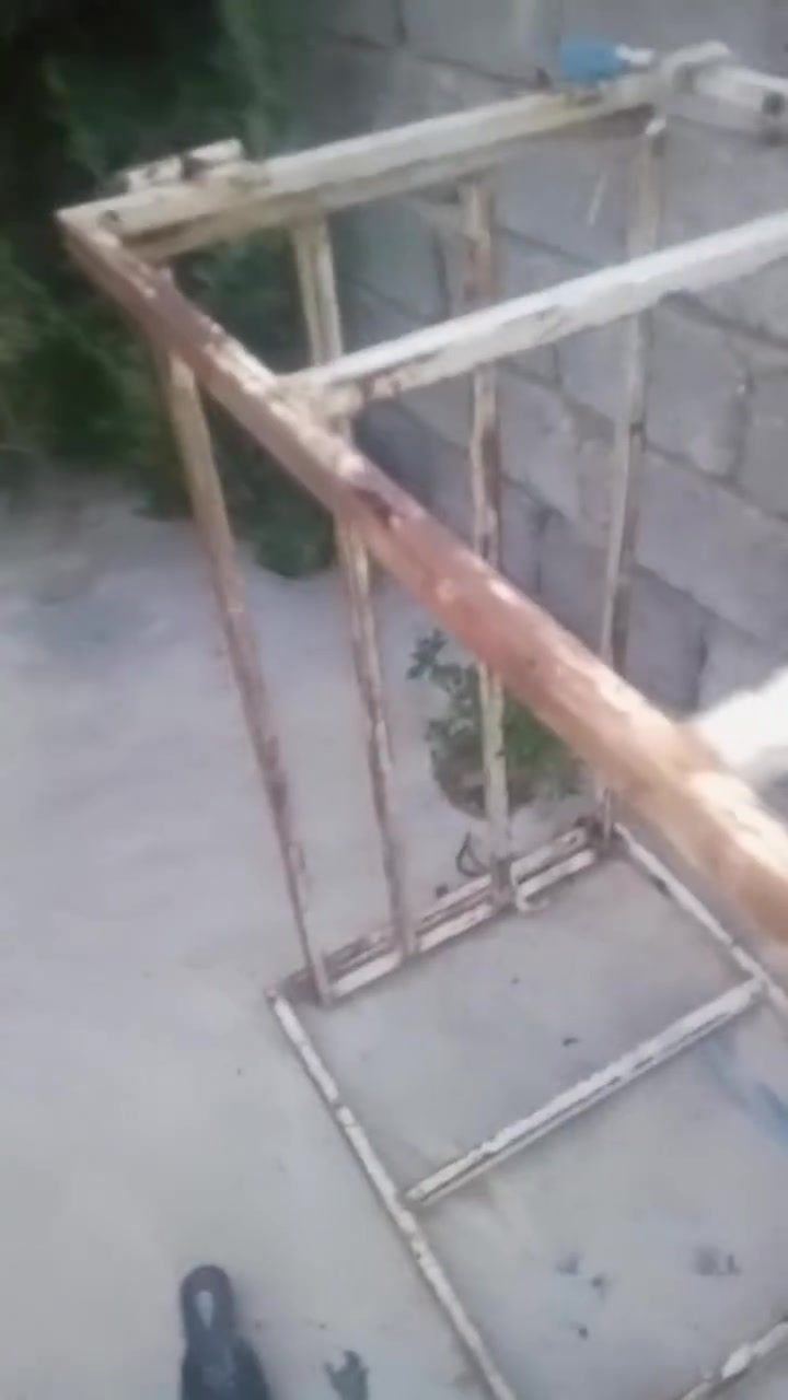 محجل • ستوته