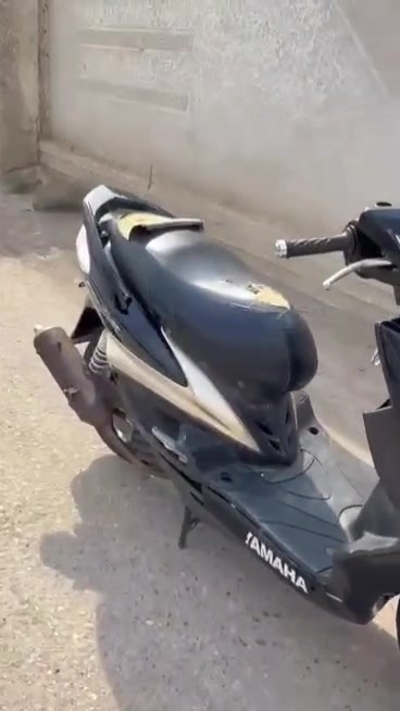 سكنس فحل • مكينه جديده • ماشيه ٥٣