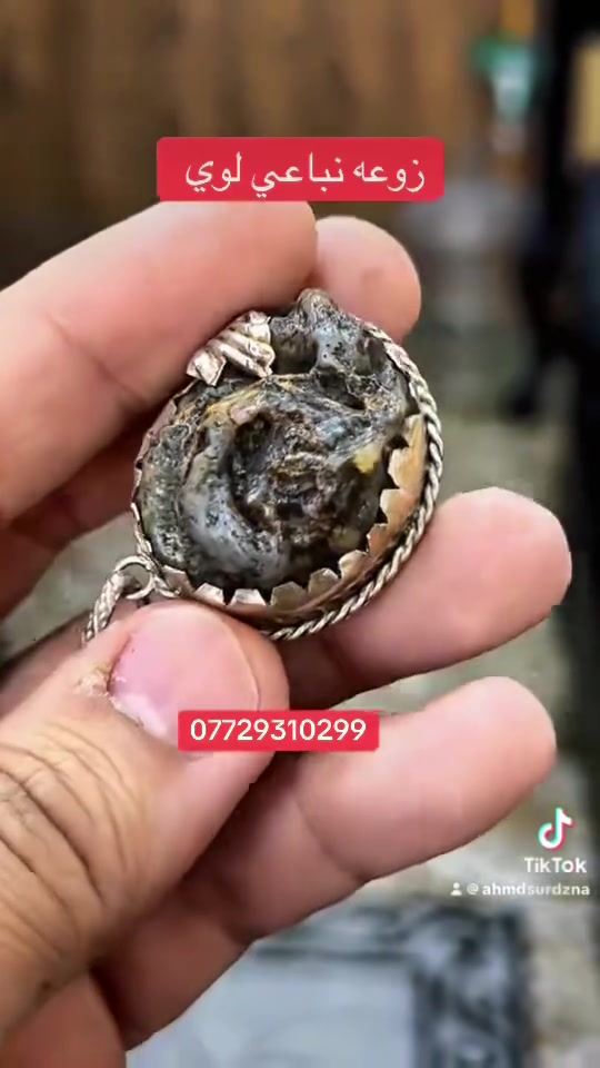 السلام عليكم / مكالد زواعات وخواتم للبيع كل قطعه اله سعر يوجد توصيل لجميع المحافضات
***********

