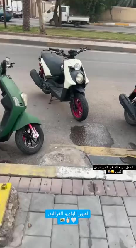 جبلي • ٢٠١٣ • ممشا٤١