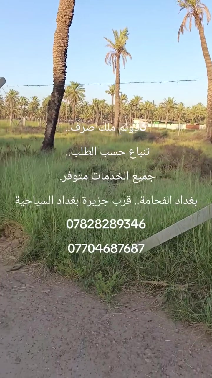 السلام عليكم
3 دونم ملك صرف سند 25
الواجهة190متر.  نزال 38متر..
موقع حلو وممتاز.. العنوان بغداد. الفحامة
تبعد 5  دقايق عن جزيرة بغداد السياحية.. 
جميع الخدمات متوفر كما مبيين بالفديو.. السعر جدا ممتاز.. 
ممكن تباع حسب الطلب... واجهة الدونم الواحد..   65 متر.. 
للاستفسار اكثر الاتصال.. على
***********
***********
متوفر واتساب
