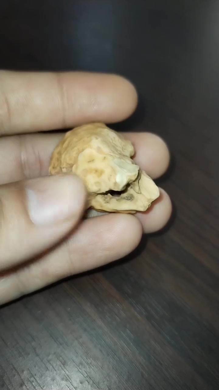 عطف بري مصور راس حوت مراوس او بيع *********** ❤️‍🔥
