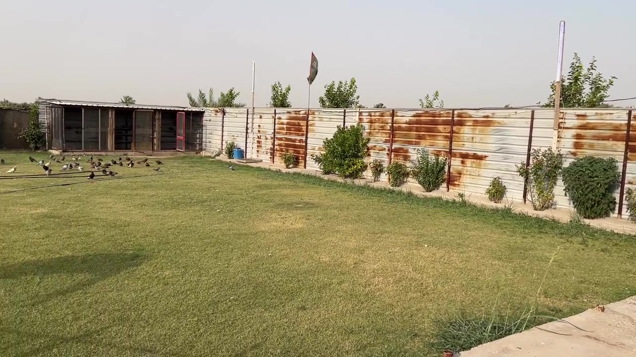 السلام عليكم مزرعه نص دونم وشويه للبيع مساحة البيت 300م +حديقه 600م سند زراعي وبيه بستان صغير مزروع حمضيات ويه سياج المزرعه هم مزروع/كهرباء+ مي اساله +مسيجة كله المزرعة موقعه بغداد ناحية الوحده منطقة اللج رقم الهاتف/***********
