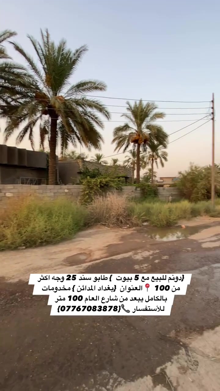 السلام عليكم {دونم للبيع مع 5 بيوت  } طابو زراعي سند 25 يبعد من شارع المدائن العام 100 متر وجه اكثر من 100 📍العنوان  {بغداد المدائن } منطقة الجعارة مخدومات بالكامل تبليط اسالة كهرباء باقي  التفاصيل بلفديو 
للأستفسار 📞{***********}

  #بيع #عقارات #مزارع #مقاولات_عامة #عقار

