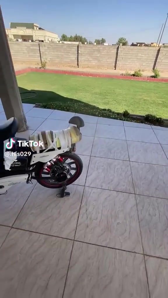 دراجه شحن للبيع شغاله السعر 150
ضربت طسه وكام ما يمشي يشتغل بس ما يمشي 
ماعرف ليش 
قفل سرعه اربع سرع 
شاشه شاحنه 
كله شغال لايت أمامي 
بك لايت 
دبل اشاره 
اشاير 
المكان العلم 
***********
