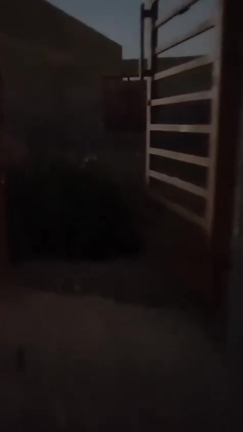 هيكل مساحه 200 متر سعره 19وبي مجال حي جبيل غرب مزرعت شايع طابو زراعي

مشي معامله،،، *********** بي وات ساب
