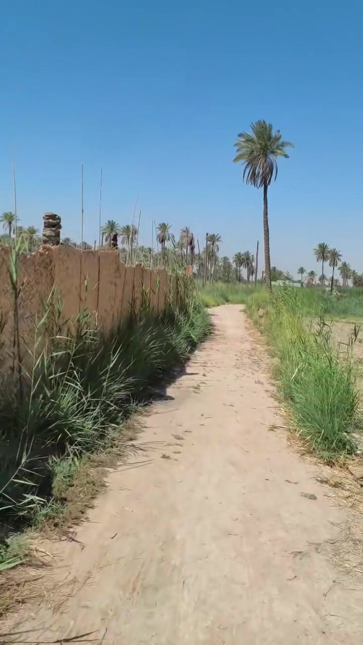دونم مساحته مربعه تحويل أسهم من صاحب الأرض مكانه طويريج منطقة الرشيده يصلح مزرعه أو شاليه بسعر مناسب للإستفسار أكثر ***********

