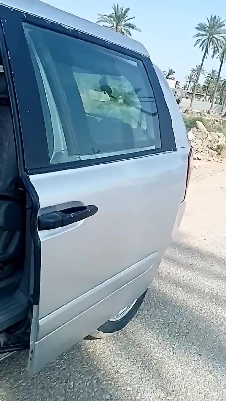 سيدونا • ٢٠٠٦ • وارد امريكي