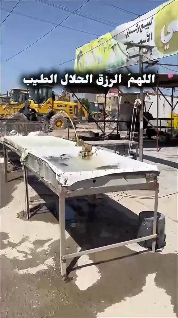 دجاج • أسماك • تقاطع المهدي