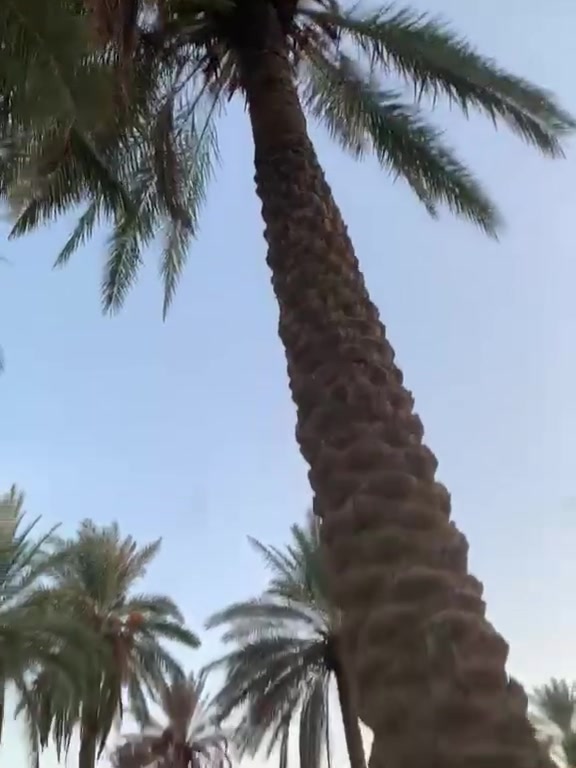 ابو حسيب الرقم***********
